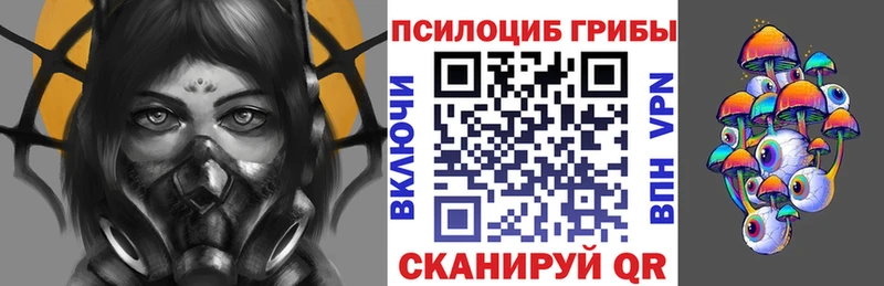 Галлюциногенные грибы Psilocybe  Богородицк 